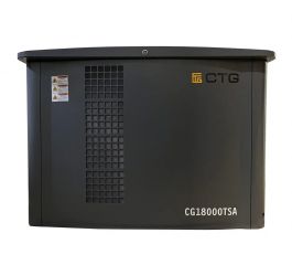 Газовый генератор CTG CG18000SA с АВР